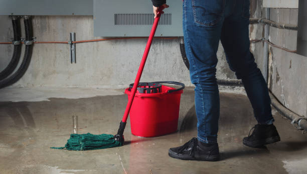 Best Local water damage restoration  in Eagle River, WI